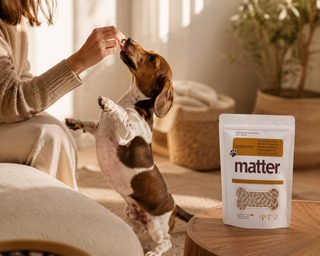 Perro sentado en la sala recibiendo una tableta masticable de la mano de su cuidadora, junto a una bolsa de Diaria Pet de Matter