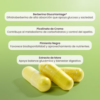 YIELPI-1 | Berberine GlucoVantage®, Chromium Picolinate, Blackberry Extract and Black Pepper Extract