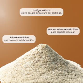 Bones Pet | L-Glicina USP, Glucosamina, Condroitina, Colágeno Tipo II