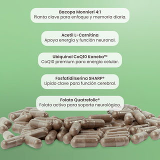 Brainy |  Nootrópico con Bacopa, CoQ10, Metil Folato y Fosfatidilserina Sharp®