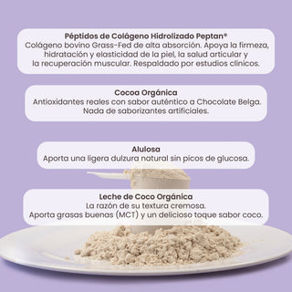 Collagein | Hydrolyzed Collagen Creamer, Belgian Chocolate Flavor (100% grass-fed)