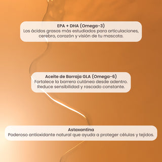 Complete OMG-3 Pet | Omega 3 y 6 con Astaxantina
