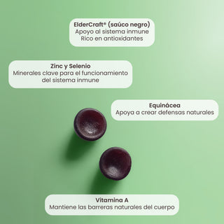 D-Fence Meltables | Gomitas con Eucalipto, ElderCraft®, Echinacea, Zinc, Selenio y Vitamina A