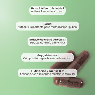 Lipix | Diente de León, Colina,  Metionina y Extracto de Guggul
