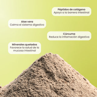 GI Fix | Péptidos de Colágeno, Aloe Vera, Cúrcuma y Zinc Carnosina Quelado