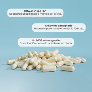 Probivos Chill | L-Glutamina, Lpc-37®, Malato de DiMagnesio