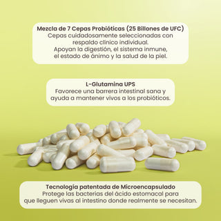 Probivos | Probióticos con Glutamina para Adulto