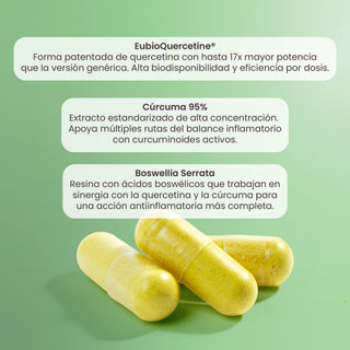 Quercetin Balance | EubioQuercetine™, Cúrcuma 95%, Boswellia Serrata