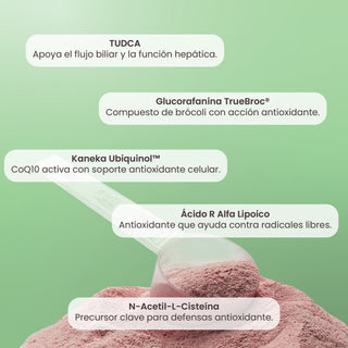 Ultra DTX | CoQ10, Ácido R Lipoico, TUDCA & Glucorafanina