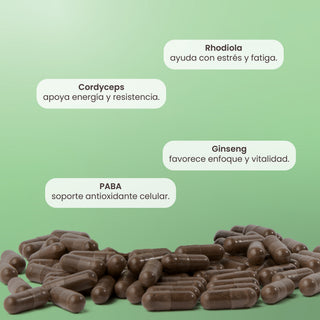 Up | Adaptógenos con Rhodiola, Cordyceps, Ginseng y PABA