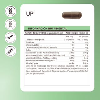 Up | Adaptógenos con Rhodiola, Cordyceps, Ginseng y PABA