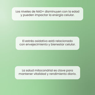 PowerERA | Trans-Resveratrol 98% con NMN