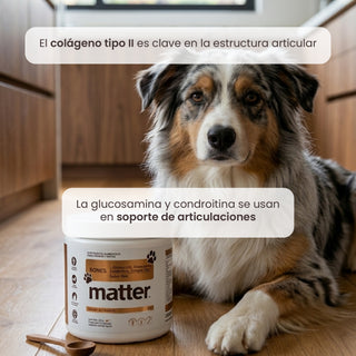Bones Pet | L-Glicina USP, Glucosamina, Condroitina, Colágeno Tipo II