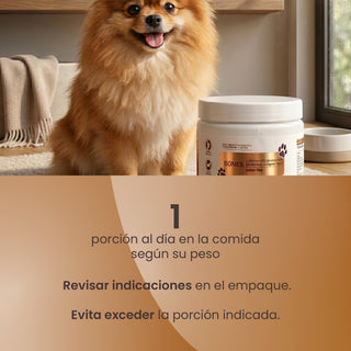 Bones Pet | L-Glicina USP, Glucosamina, Condroitina, Colágeno Tipo II