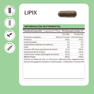 Lipix | Dandelion, Choline, Methionine and Guggul Extract