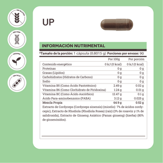 Up | Adaptógenos con Rhodiola, Cordyceps, Ginseng y PABA